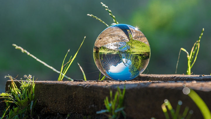 Net-zero by 2050: What does it take to make this a reality?